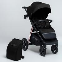 Коляска прогулочная BubaGo BASS Chrome фото